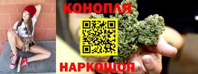 кокс Можга