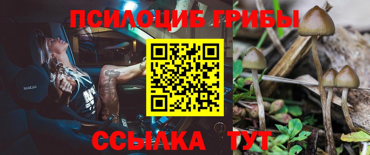 Псилоцибиновые грибы мицелий Трёхгорный