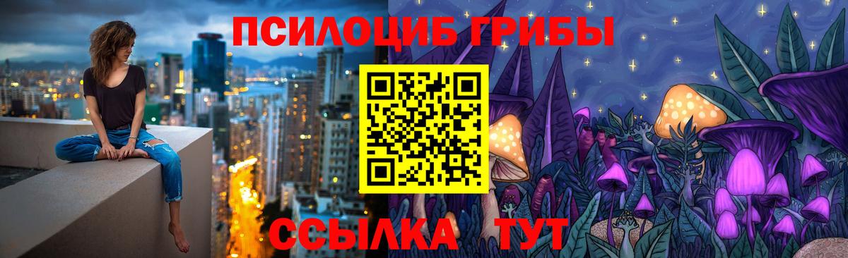 хочу наркоту  Псилоцибиновые грибы MAGIC MUSHROOMS  Вход с VPN  Трёхгорный 